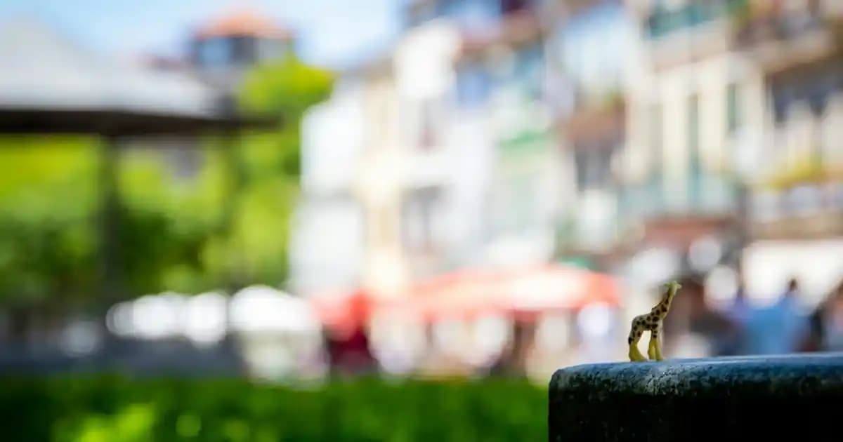 2025 Yılında Asya Güzellik Tonikleri: Kuru ve Hassas Ciltler İçin En Çok Tercih Edilen Ürünler