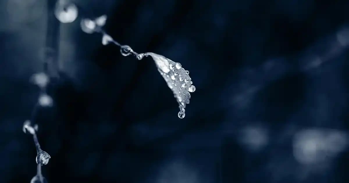 2025 Yılında Bırakılması Önerilen Cilt Bakımı Alışkanlıkları ve Sürdürülebilir Yaklaşımlar