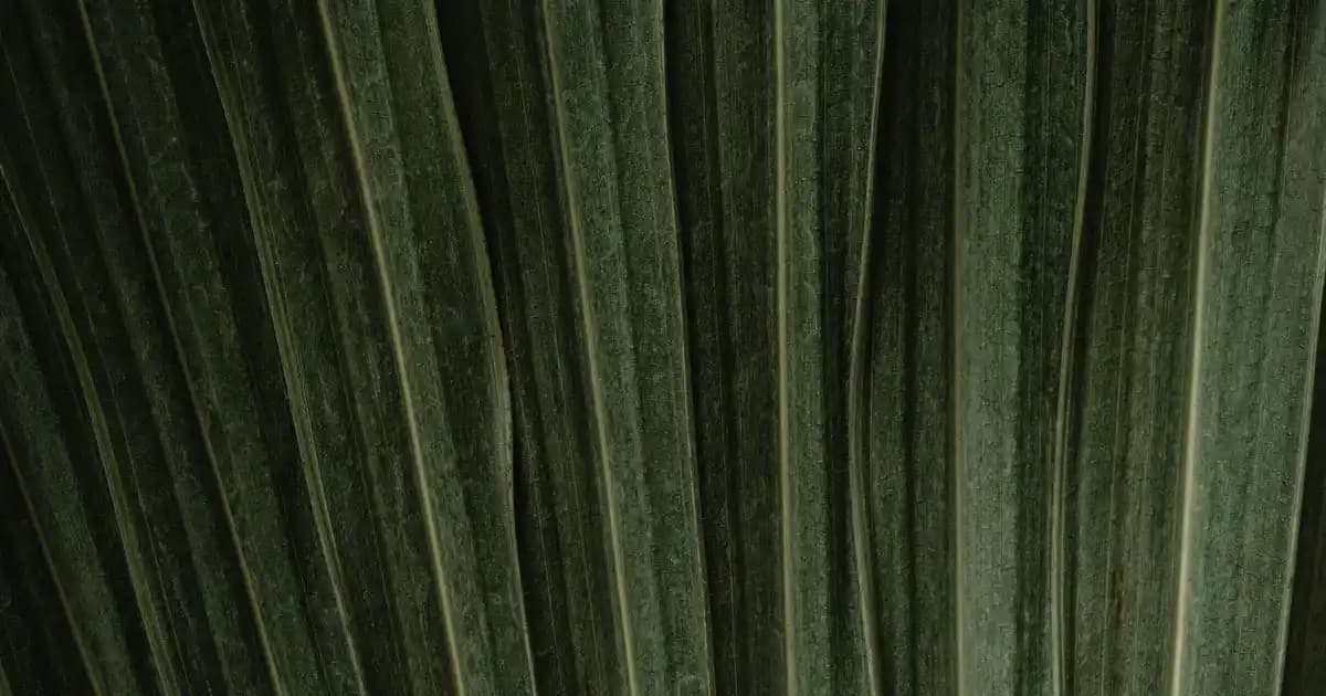 Ekonomik ve Stratejik Yöntemlerle Parfüm Koleksiyonu Nasıl Başlanır ve Geliştirilir