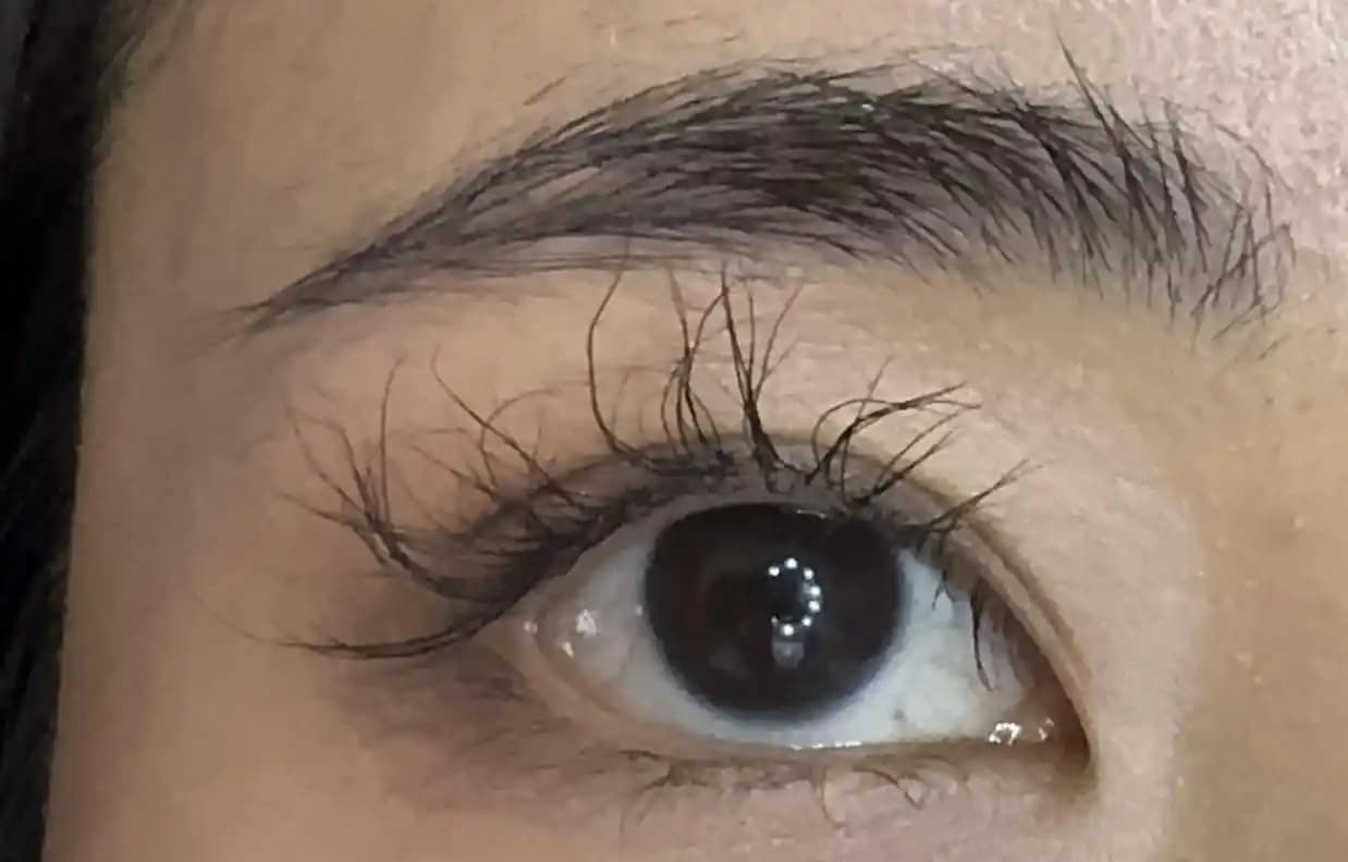 Kıvrılmış ve Kırışık Kirpikler İçin Doğru Kıvırma Teknikleri ve Bakım Önerileri