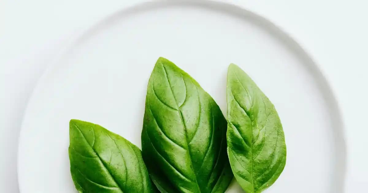 Yetişkinler İçin İnce ve Şık İrisli ve Duokrom Göz Farı Seçenekleri ve Uygulama Önerileri