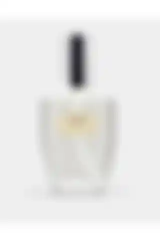 D&P Perfumum U-L11 Unisex Parfüm: Kalıcı, Ferah ve Şık 50 ml EDP