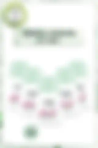 Garnier 5'li Mineral Termal Koruma Roll-On Deodorant Seti Hakkında Bilgi