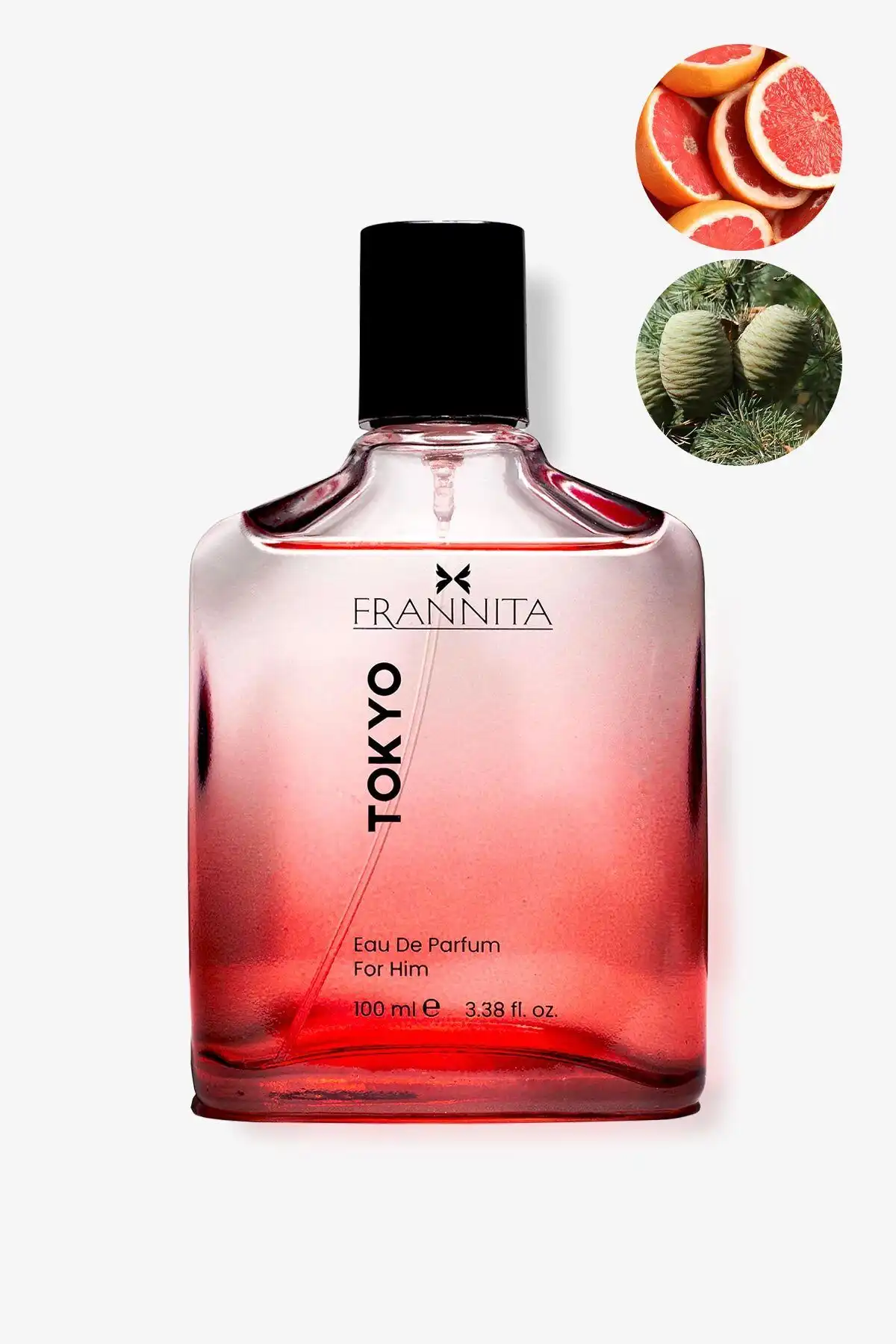 Frannita Tokyo Odunsu Aromatik Erkek Parfüm İncelemesi: Özellikler ve Kullanıcı Görüşleri