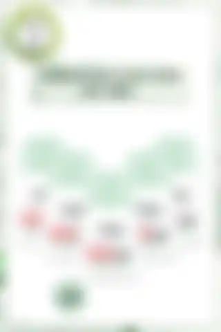 Garnier Deodorant Karşılaştırması: Magnezyum Ultra Kuru ve Hyaluronik Bakım