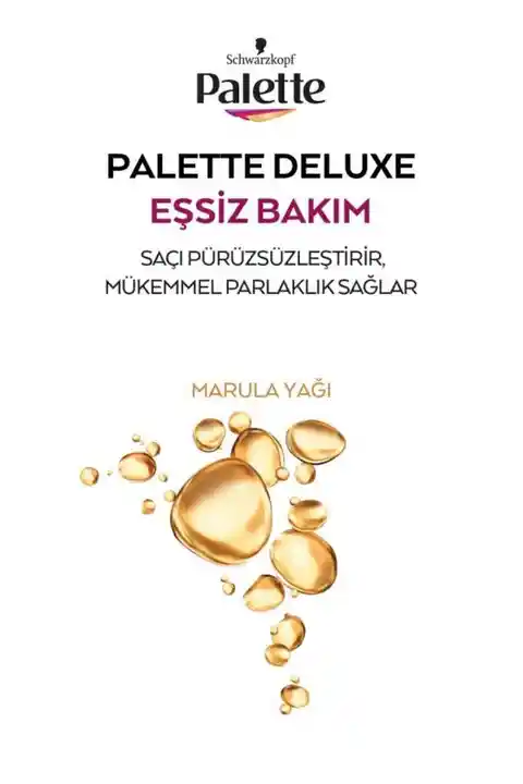 Palette Deluxe 4-0 Kahve X 2 Adet Saç Boyası