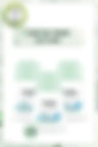 Garnier Mineral Saf&Temiz ve Yves Rocher Roll-On Deodorantların Karşılaştırması
